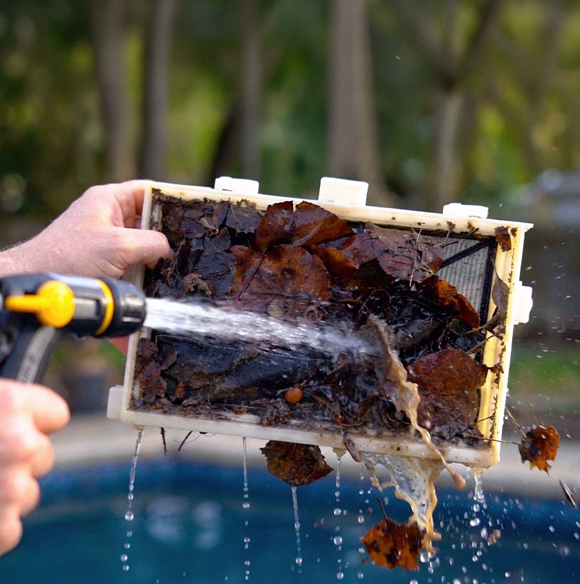 Rinsing a Dolphin Sigma filter cartridge clean with a garden hose