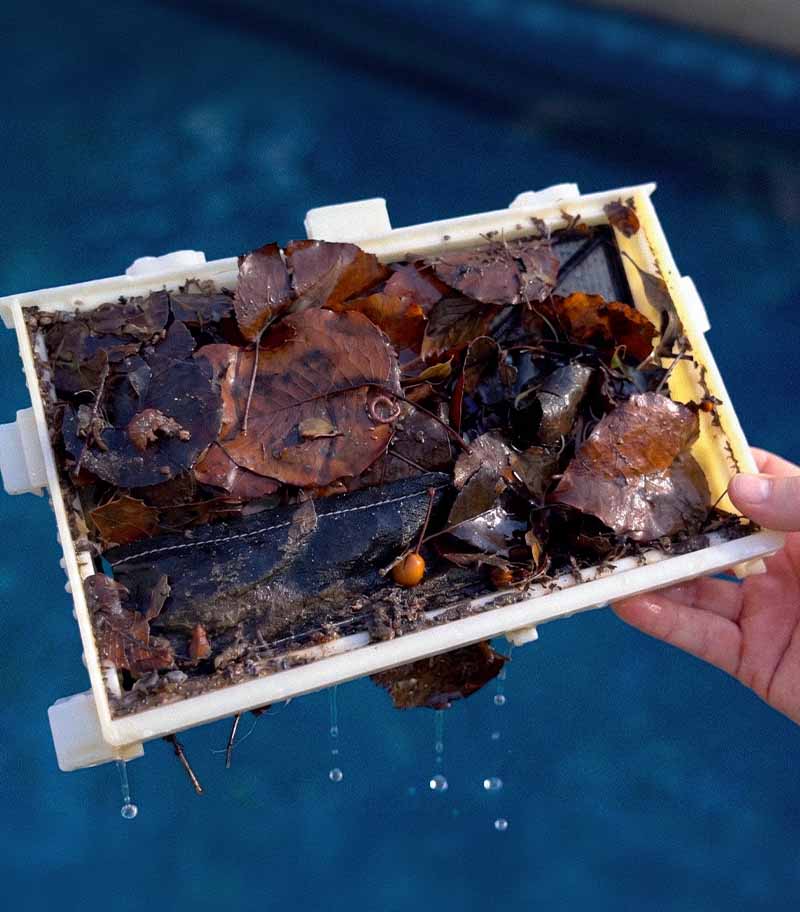 Dolphin Sigma oversized filter cartridge packed with leaves