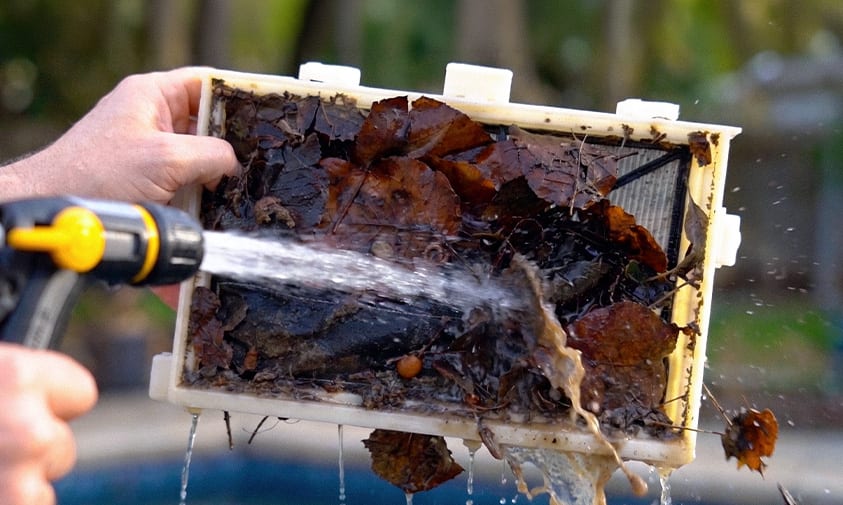 Rinsing a Dolphin Sigma filter cartridge full of leaves with a garden hose