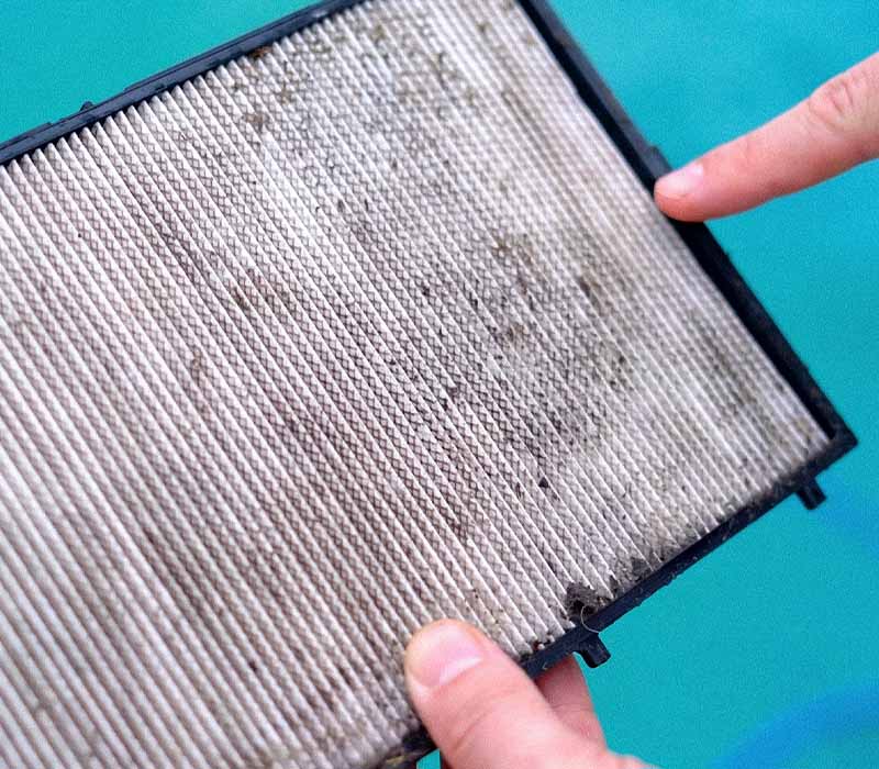 Dolphin Sigma NanoFilter panel loaded with fine debris