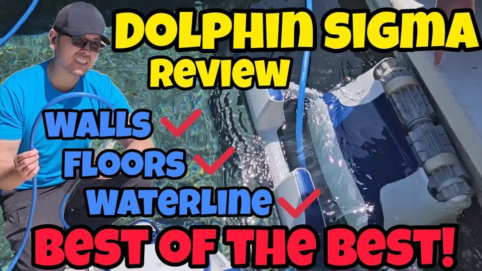 Definitely David's Dolphin Sigma video review