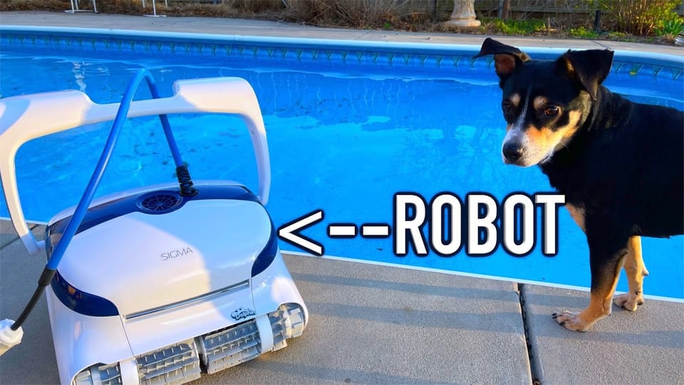 The Car Addict's Dolphin Sigma video review